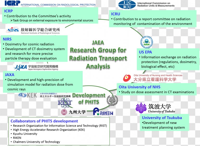 Web Page Computer Program Line Organism Learning - Education Transparent PNG