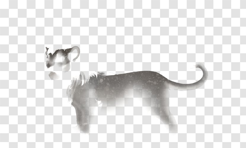 Dog Big Cat Puma Snout - Small To Medium Sized Cats - Mid-cover Transparent PNG