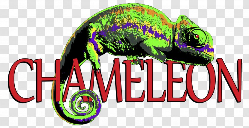 Cara Irish Pub Chameleons Bar Nightclub - Dover - Chameleon Transparent PNG