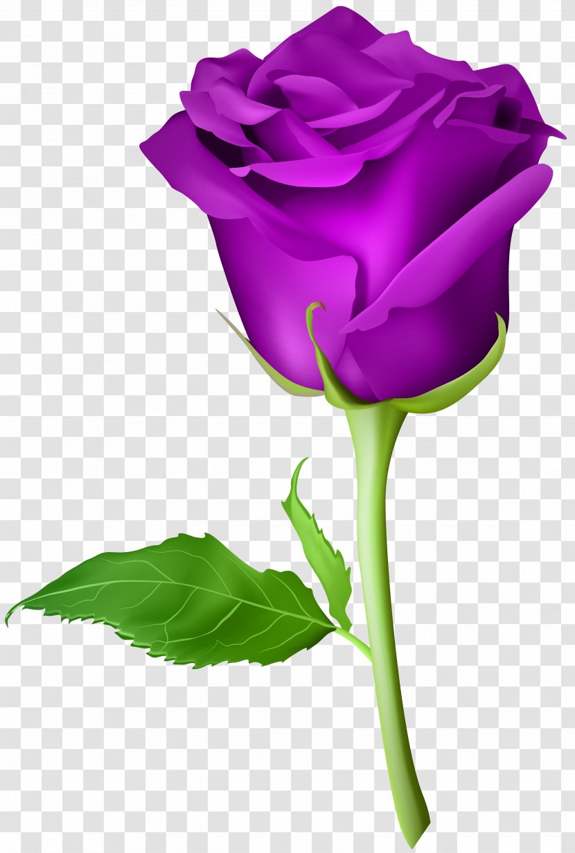 Blue Rose Artificial Flower - Violet - Purple Transparent Clip Art Image Transparent PNG