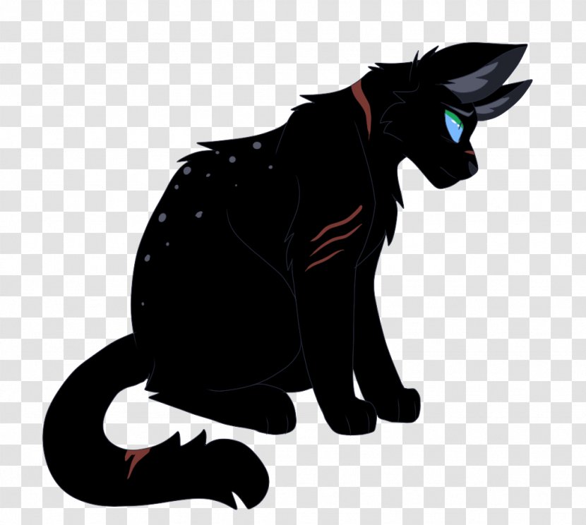Black Cat Whiskers Golden State Warriors Nightstar - Small To Medium Sized Cats Transparent PNG