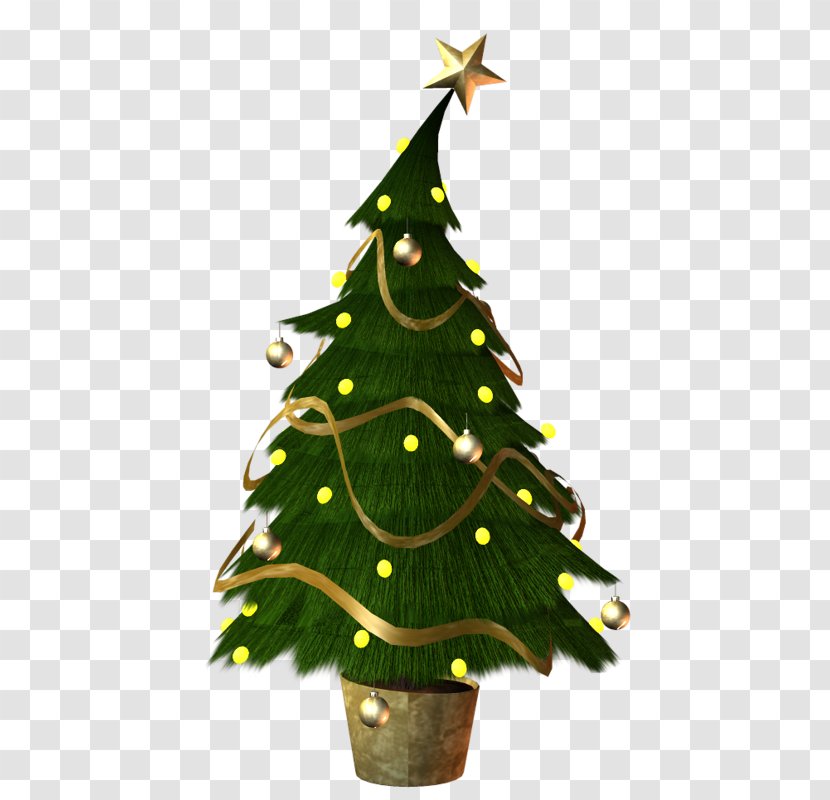 Christmas Tree - Photography Transparent PNG