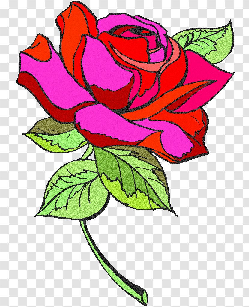Floral Design Garden Roses Pink French Rose Beach - Petal - Scented Transparent PNG