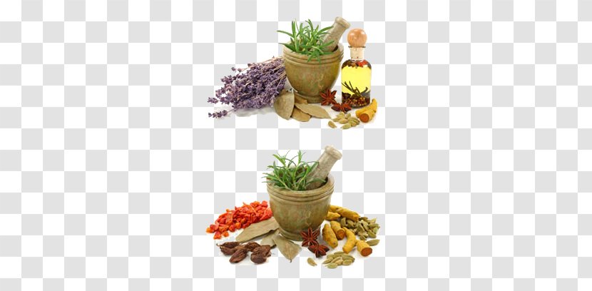 Ayurveda Medicine Alternative Health Services Vata - Herbalism - Spices And Garlic Mortar HQ Pictures Transparent PNG