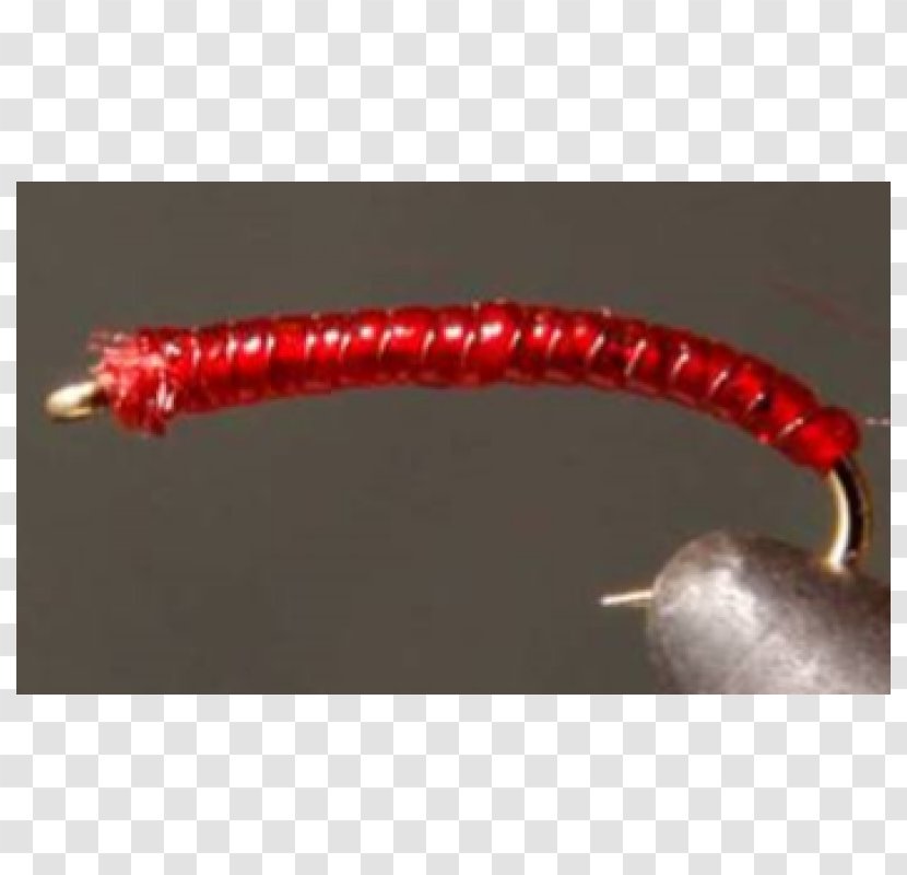 Worm - Bass Worms Transparent PNG