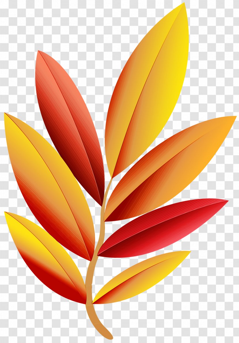 Bird Of Paradise - Heliconia - Flower Transparent PNG