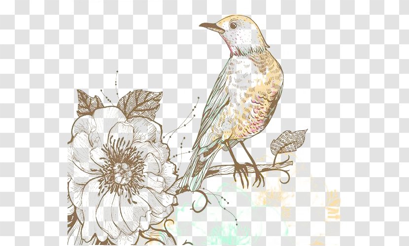 Classical Floral Pattern Background Shading Bird Pictures - Flowering Plant Transparent PNG