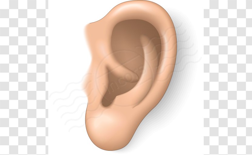 Ear Free Content Blog Clip Art - Heart - Noise Cliparts Transparent PNG