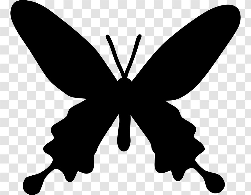 Butterfly Stencil Silhouette Drawing - Template Transparent PNG