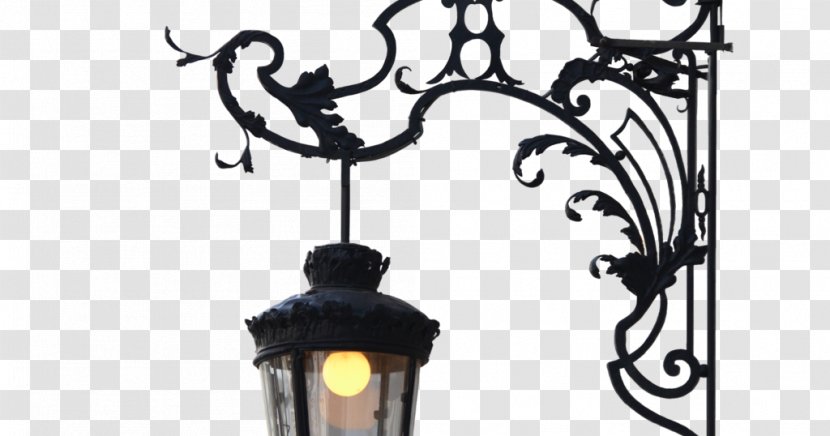 Lamp Light Fixture Electric Incandescent Bulb - Tree Transparent PNG