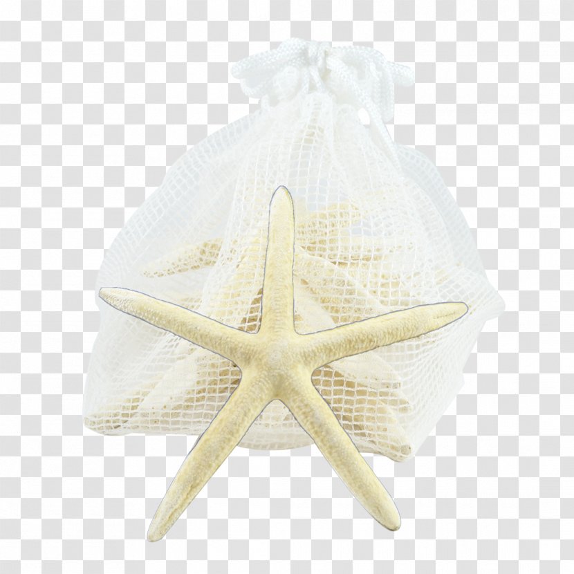 Starfish Beige - Invertebrate Transparent PNG