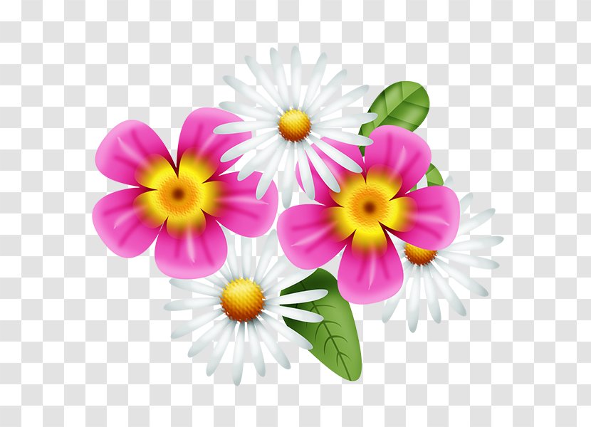 Flower Garden Common Daisy Pansy Clip Art - Floristry Transparent PNG