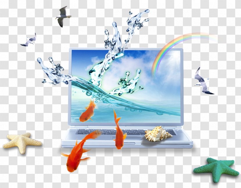 Laptop Computer Monitor Download Icon - Plastic - TV Transparent PNG