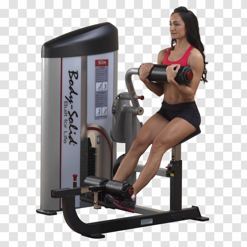 Crunch Exercise Machine Row Bench - Watercolor - Cartoon Transparent PNG