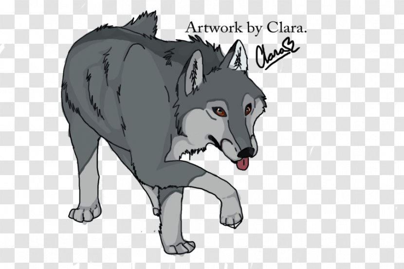 Gray Wolf Fauna Fur Snout Wildlife - Mammal - Muscle Transparent PNG