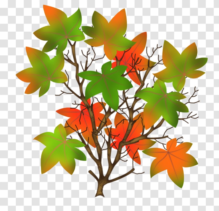 Maple Leaf Clip Art - Plant Transparent PNG