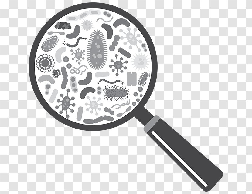 Microorganism Bacteria Virus Infection - Heat Cramps Transparent PNG
