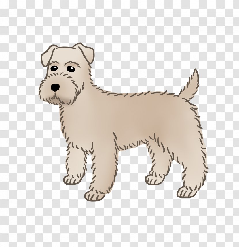 West Highland White Terrier Norfolk Cairn Lakeland Dog Breed - Companion - Puppy Transparent PNG