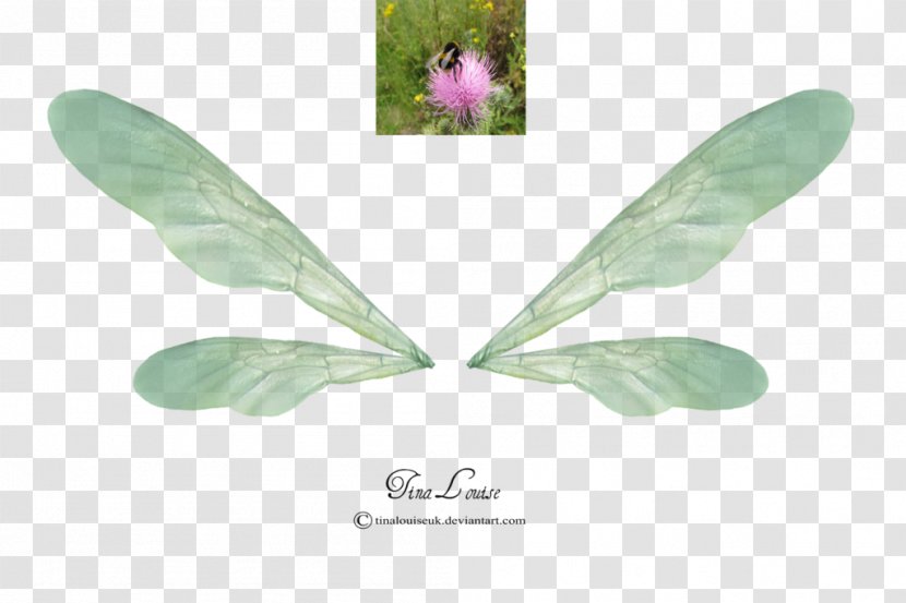 DeviantArt Tinker Bell - Image Editing - Leaf Transparent PNG