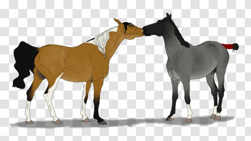 Mare Foal Mustang Stallion Colt - Horse Supplies Transparent PNG