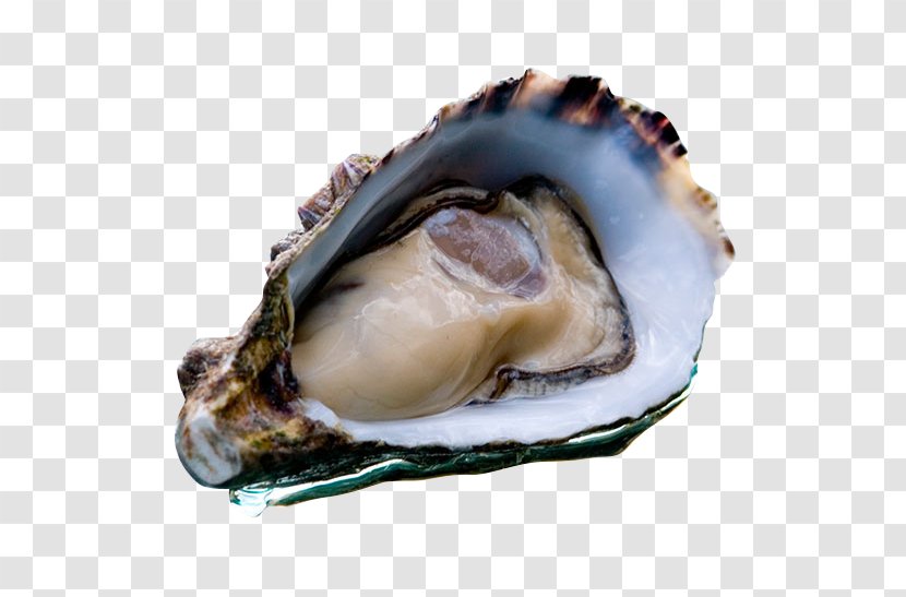 Larner's Oyster Supplies Coffin Bay Seafood Clam - Mussel Transparent PNG