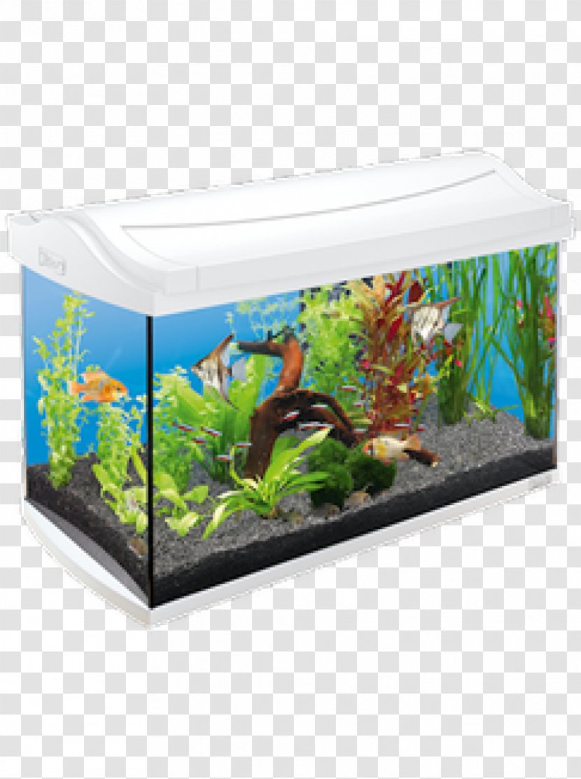 Tropical Aquariums Tetra Pet Reef Aquarium - Fish Transparent PNG