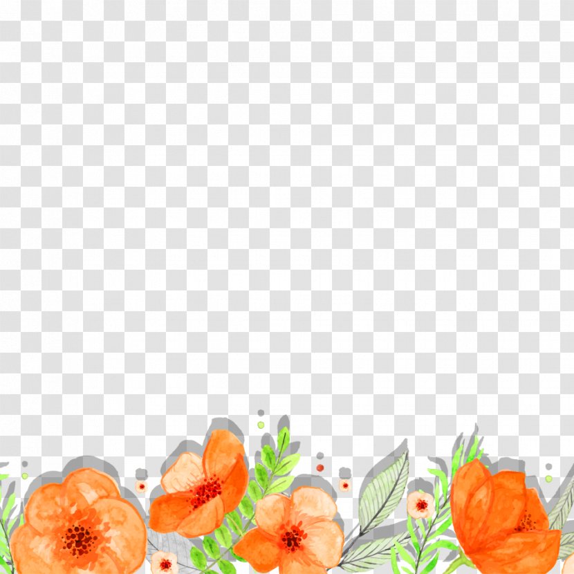Orange Green Computer File - Color - Flower Material Transparent PNG