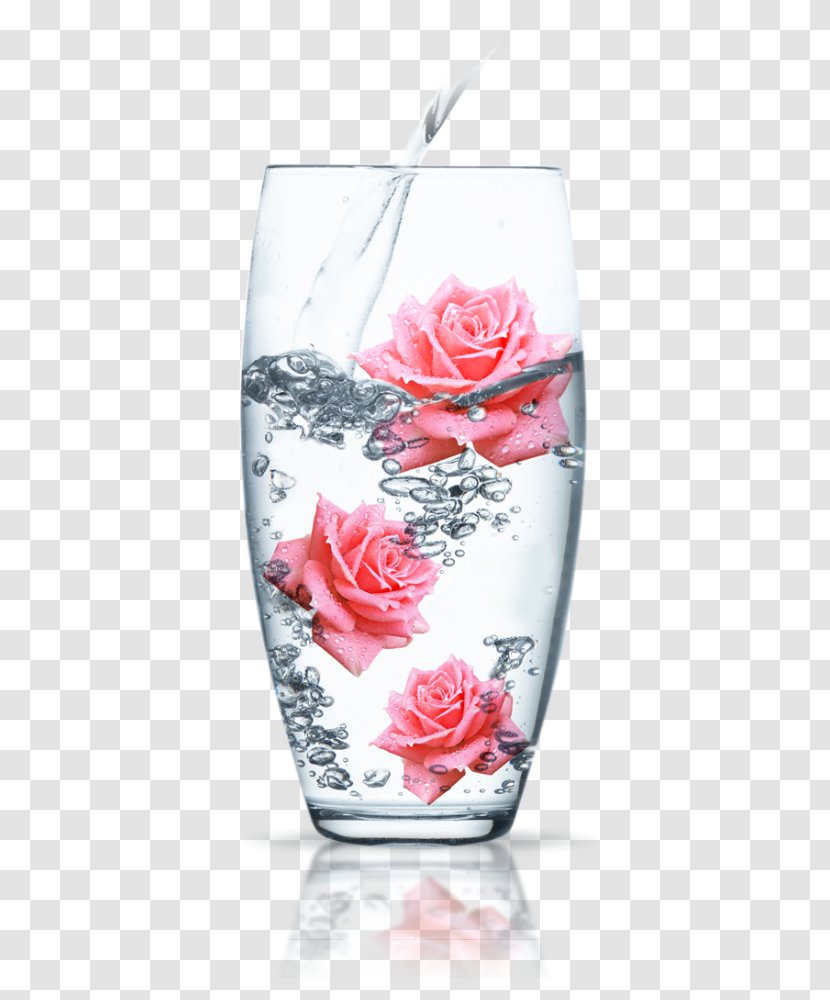 Rose Water Oil Organic Food Damask - Petal Transparent PNG