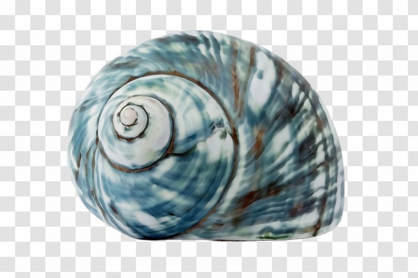 Shell Turquoise Aqua Sea Snail - Glass Snails And Slugs Transparent PNG