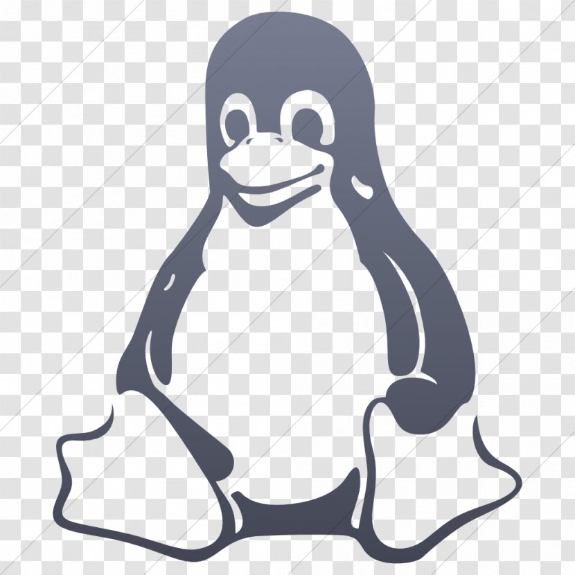Linux - Bird - Cdr Transparent PNG