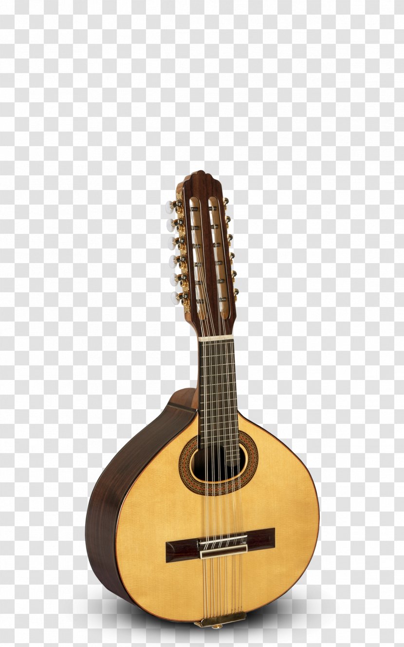 Bandurria Classical Guitar Lute Mandolin - Flamenco - Indian Map Transparent PNG