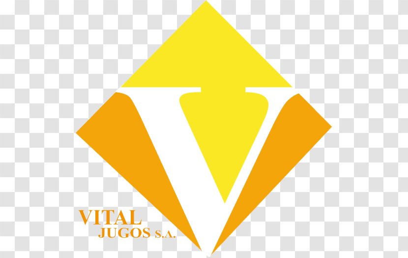Vital Jugos SA Service Business Consultant Customer - Triangle Transparent PNG