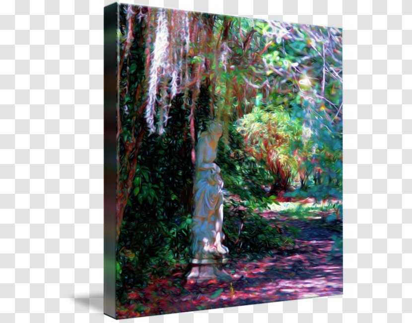 Painting Water Feature - Trunk Transparent PNG