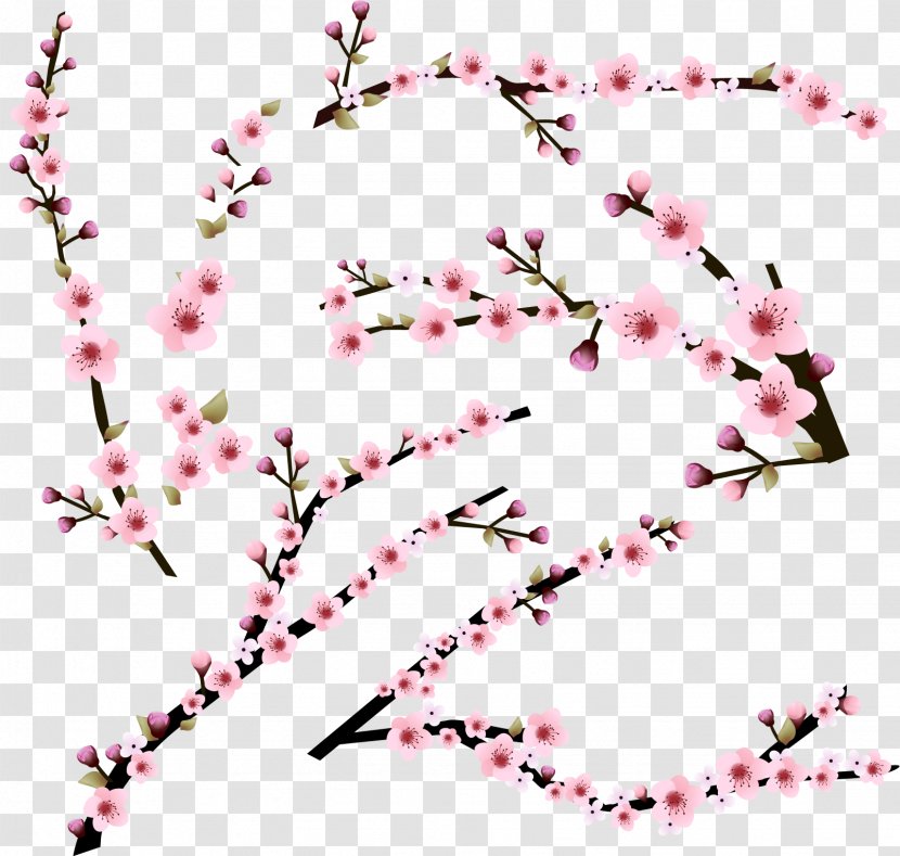 Cherry Blossom - Petal - Pink Blossoms Transparent PNG