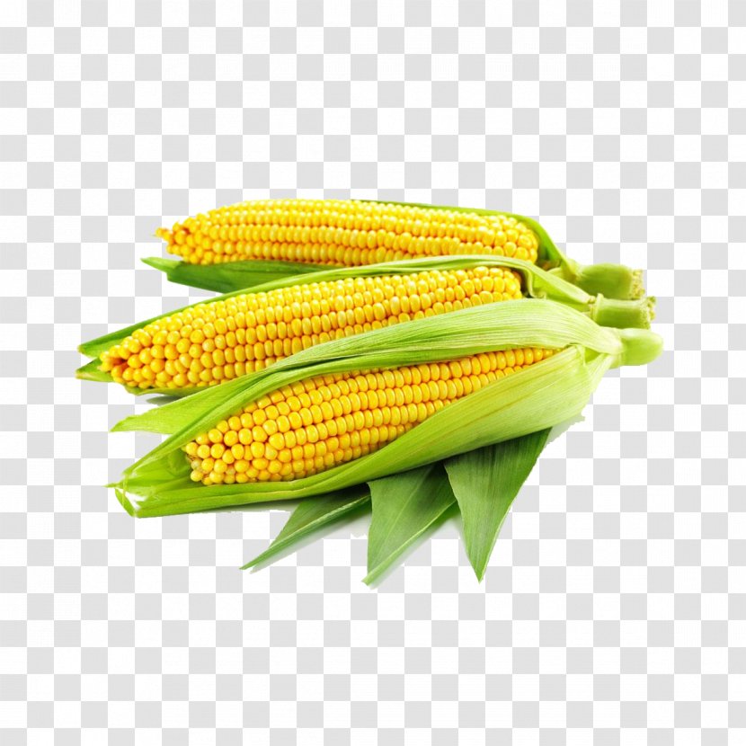 Maize Photography Ear - Vegetarian Food - Corn White Pull Away Transparent PNG