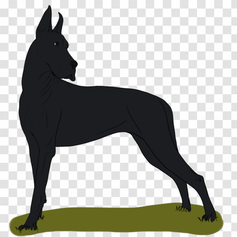 Great Dane Dog Breed Non-sporting Group (dog) - Like Mammal - Waiting Line Rope Homemade Transparent PNG