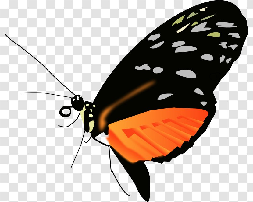 Monarch Butterfly Clip Art - Greta Oto Transparent PNG