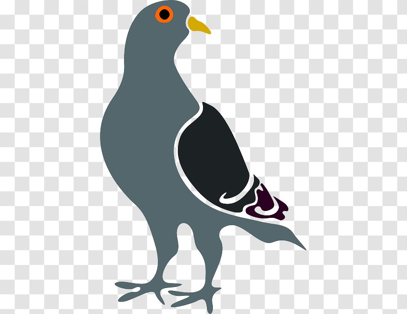 Homing Pigeon Columbidae Bird Clip Art Vector Graphics - Wing - Stretch Tents Transparent PNG