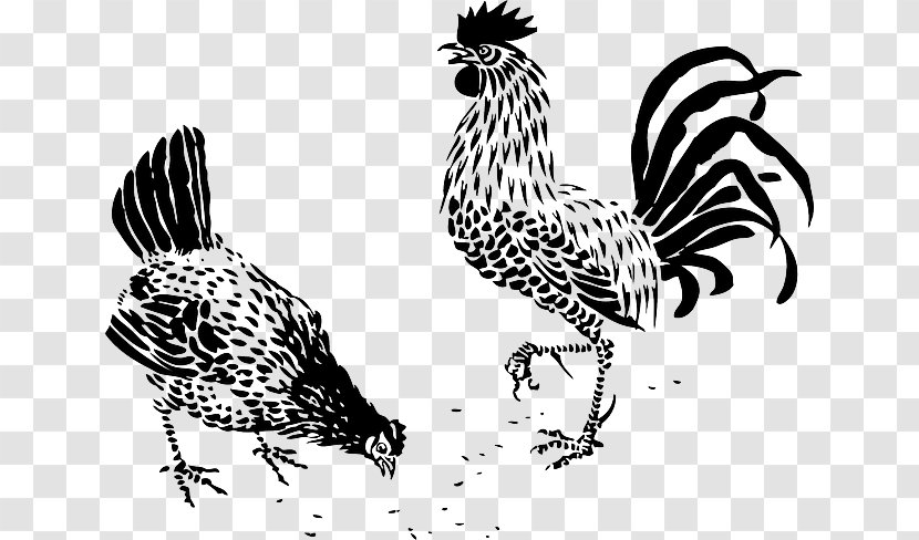Cochin Chicken Brahma Rooster Drawing Hen - Monochrome Photography - TRIBAL ANIMAL Transparent PNG