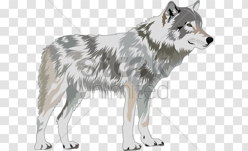 Gray Wolf Royalty-free Clip Art - Greenland Dog - Vector Transparent PNG
