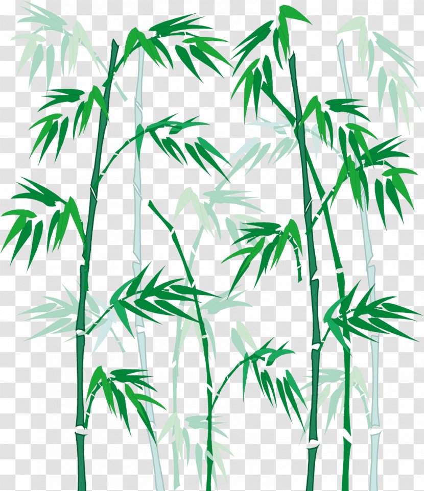 Bamboo Cartoon - Plant Stem - Hand Painted 1 Transparent PNG