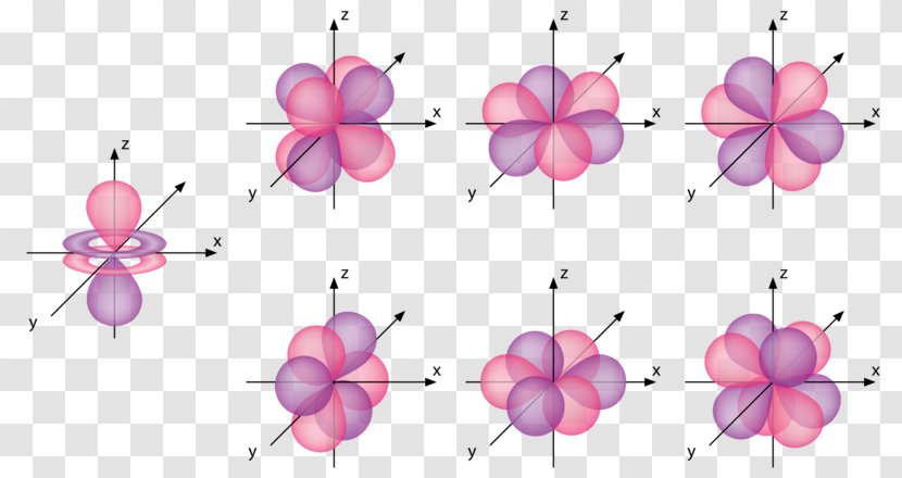 Atomic Orbital Electron Configuration Molecular - Flowering Plant - Shape Transparent PNG