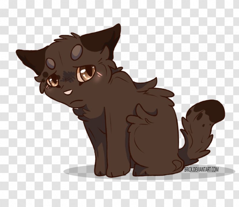 Kitten Whiskers Cat Dog Horse Transparent PNG