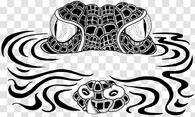 Crocodile Alligator Black And White Logo - Royaltyfree Transparent PNG