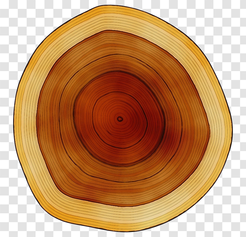 Wood /m/083vt Circle Varnish Tableware Transparent PNG