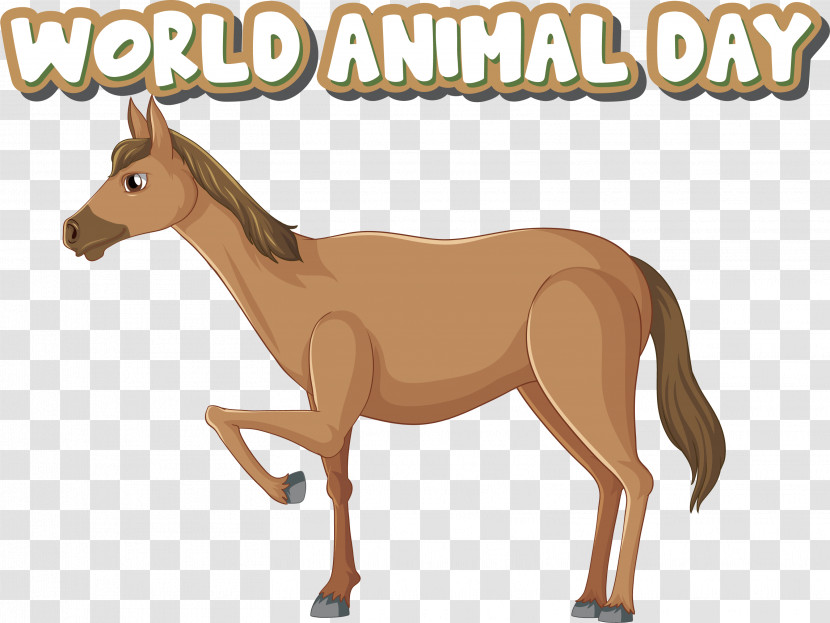 Mustang Mane Foal Tail Stallion Transparent PNG