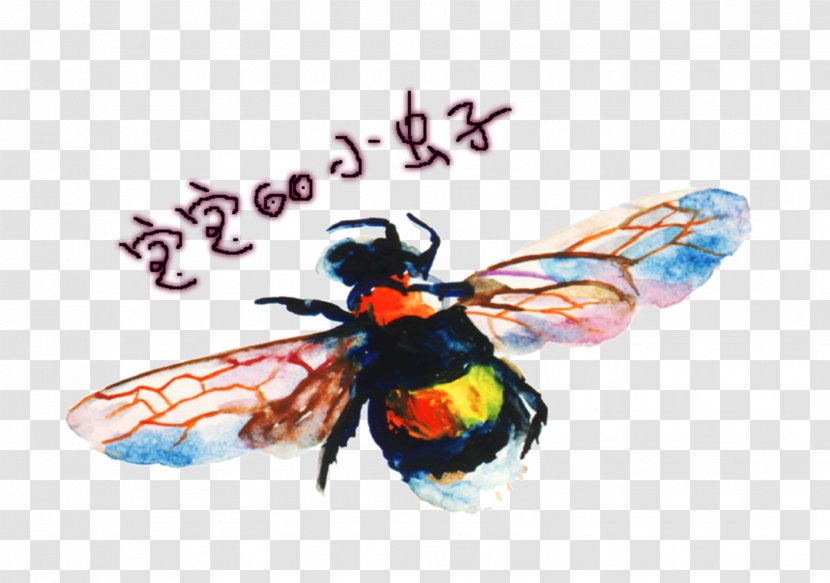 Download - Fly - Baby Little Bugs Transparent PNG