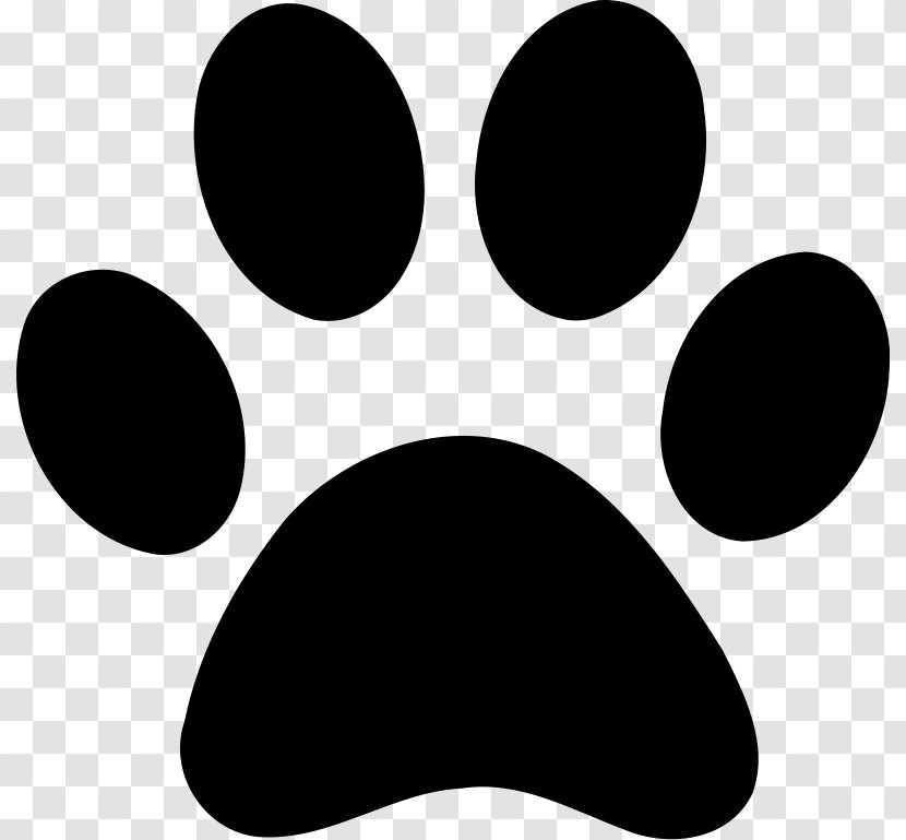 Dog And Cat - Claw - Blackandwhite Snout Transparent PNG