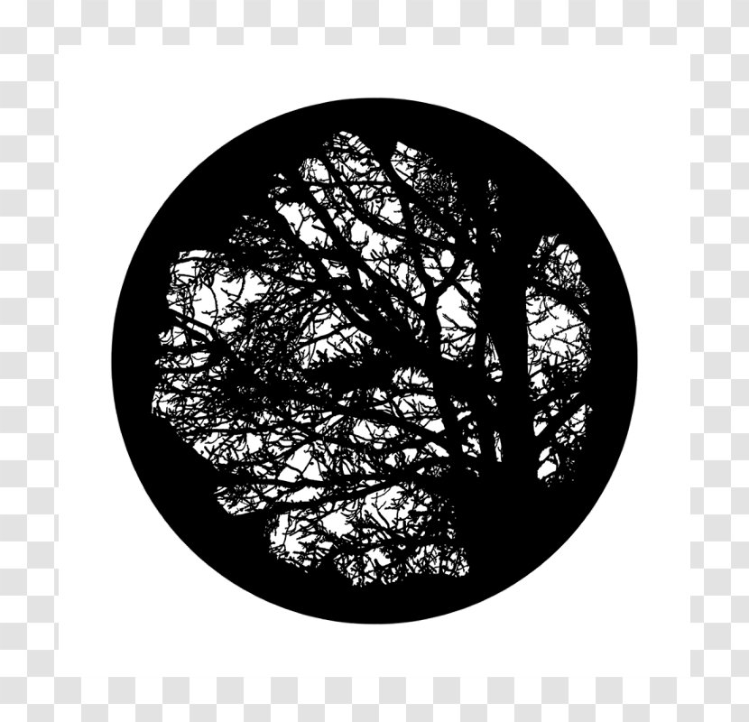 Light Gobo Tree Glass Projector - Branch Transparent PNG