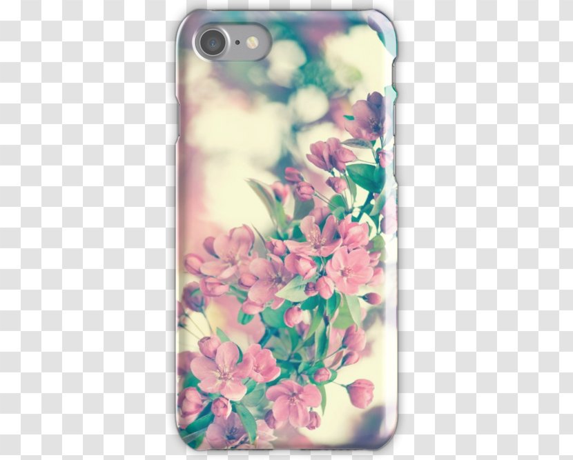 Floral Design Petal Mobile Phone Accessories Flowering Plant - Iphone - Red Cherry Blossoms Transparent PNG